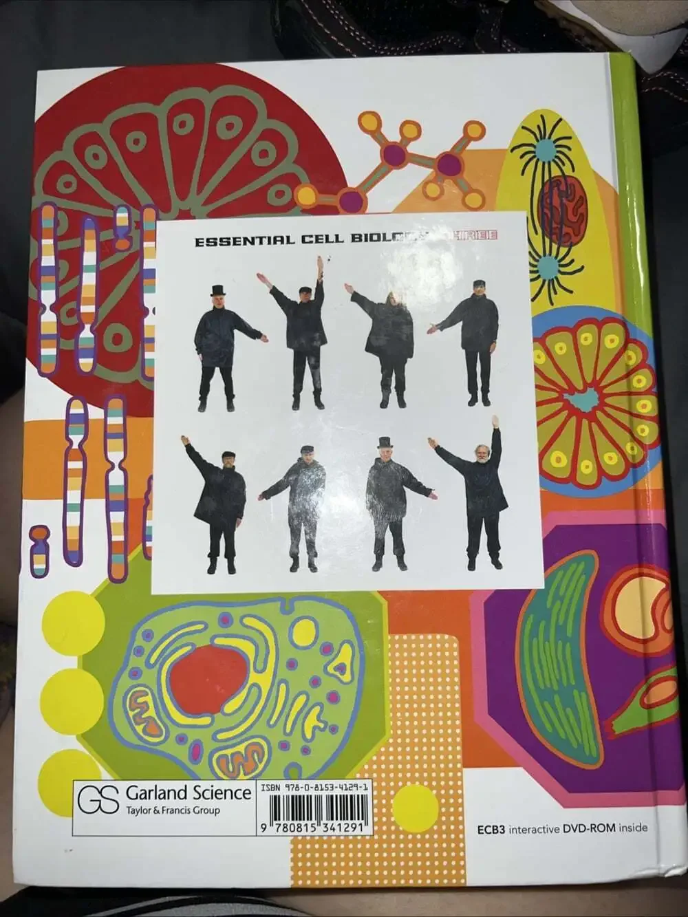 Essential Cell Biology 3rd Edition (2010) - Hardcover